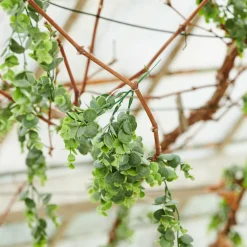 BAMBOO Armoire à Tiroirs 2 Tiroirs Naturel