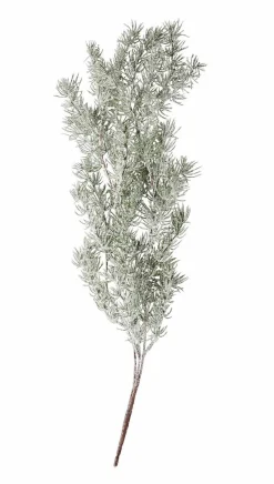 CEDER Branche Décorative Vert