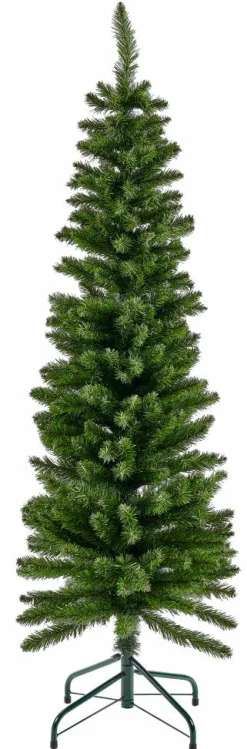 CEDER Branche Décorative Vert