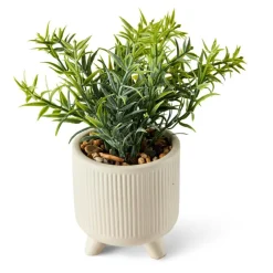 CERA Plante Artificielle Diverses Couleurs