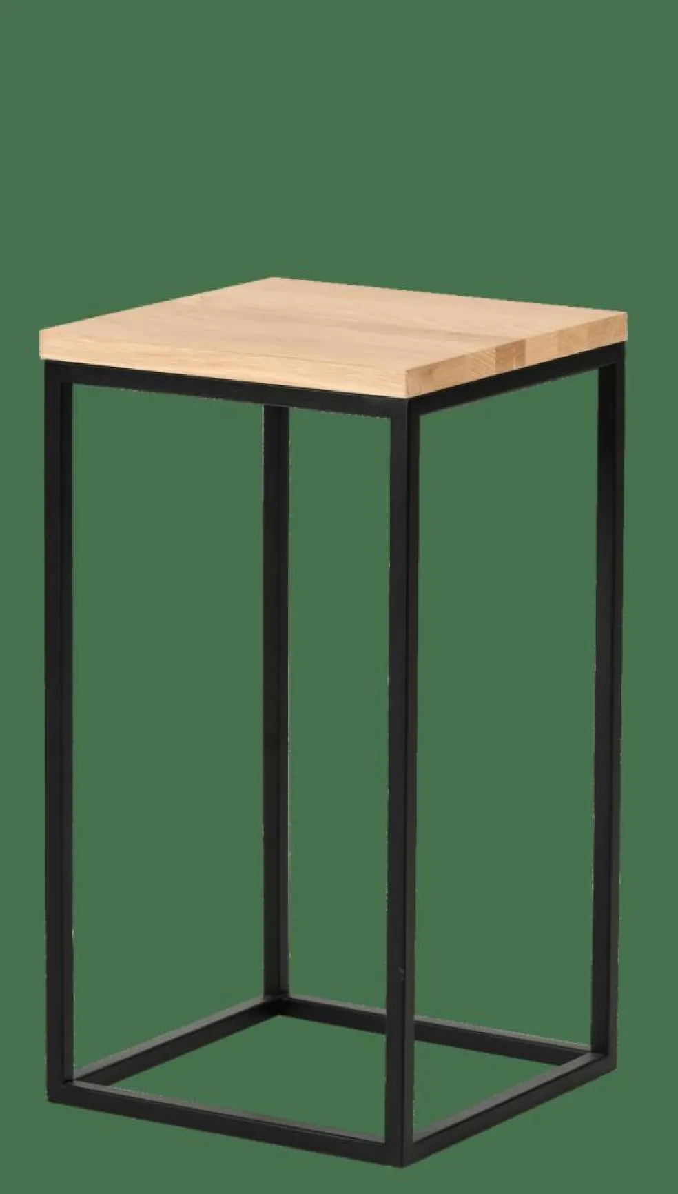 EKI Support Pour Plantes Naturel