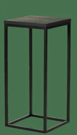 EKI Support Pour Plantes Noir