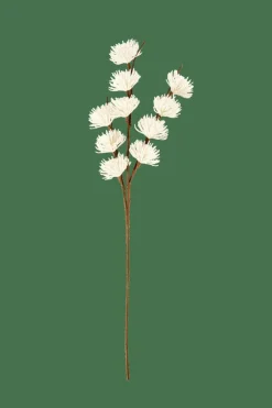 FROST Mélèze Blanc