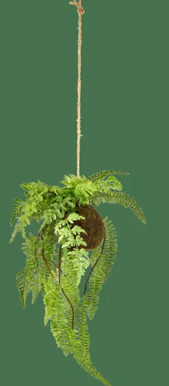 GREENERY Pot à Suspendre Avec Fougère Vert