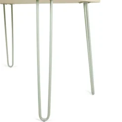 JONAS Bureau Vert Clair