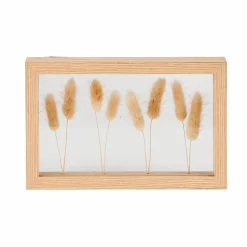 LAGURUS Lagure Ovale Naturel