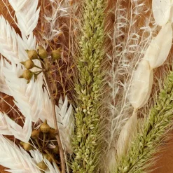 MIA Décoration Séchée Vert