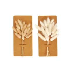 MINA Déco Séchée Brun