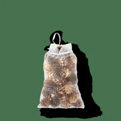 PINECONE Déco à Disperser Doré