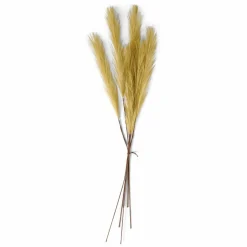 PLUME Plumes Décoratives Brun Clair