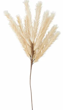 PLUME Plumes Décoratives Brun Clair