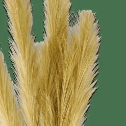 PLUME Plumes Décoratives Vert