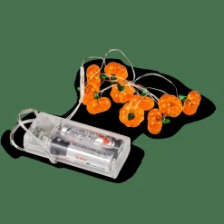 PUMPKIN Guirlande Lumineuse Orange