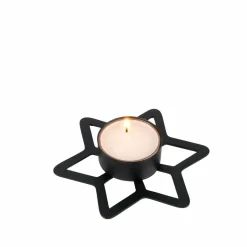 STAR Décoration Séchée