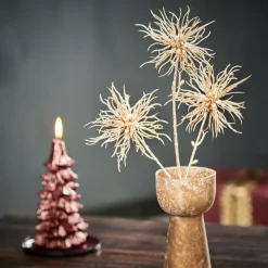 STAR Décoration Séchée