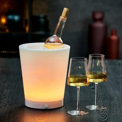 VACUVIN Refroidisseur Doré